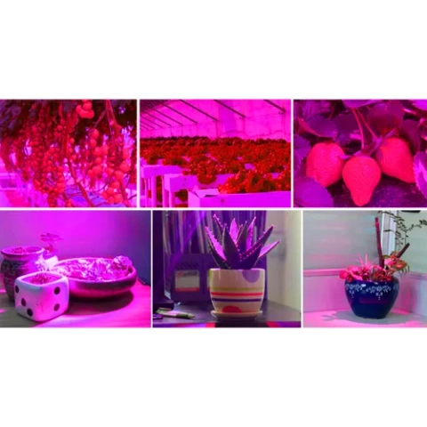 225 LED plant growth lamp/panel 23525