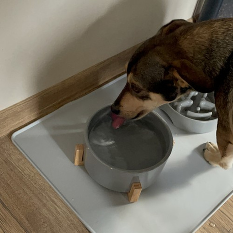 Silicone bowl pad Purlov 24295