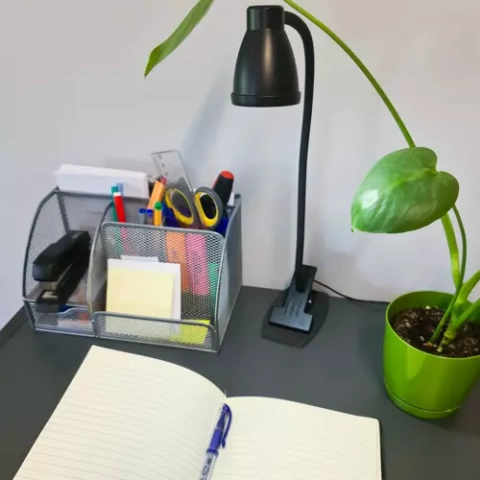 Desk lamp with clip - black Izoxis 19454