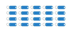 Schlüsselanhänger/Schlüssel-ID-Set 100-tlg