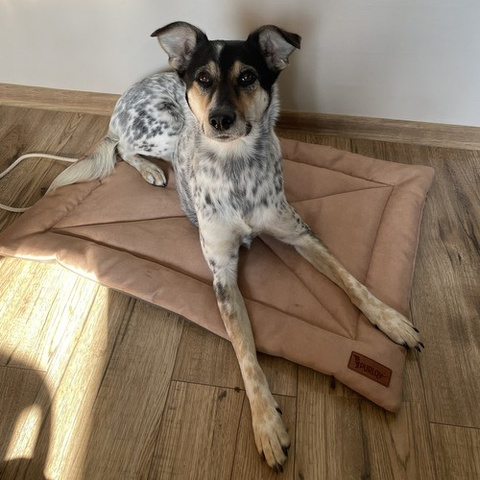 Purlov 24594 Hundebett