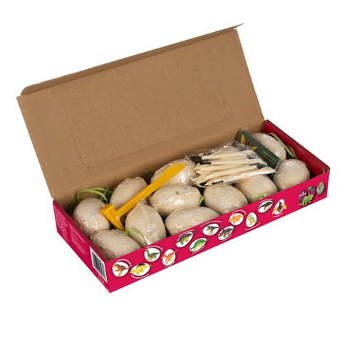 Dinosaur Mine - Kruzzel Excavations 24982