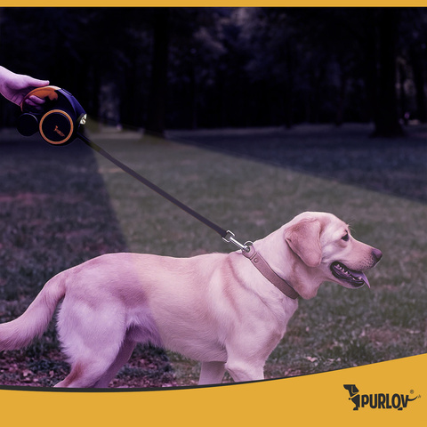 Automatic lanyard with flashlight 5m Purlov 25965