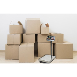 Warehouse scale up to 100kg 23536