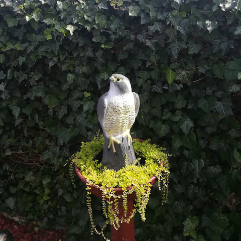 Vogelscheuche - Falke 23421