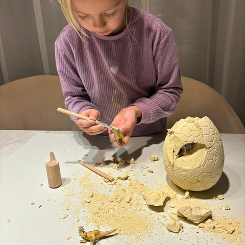 Dinosaurier-Ei – Ausgrabung 24981