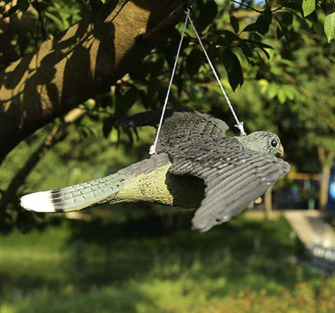 Repest bird repellent