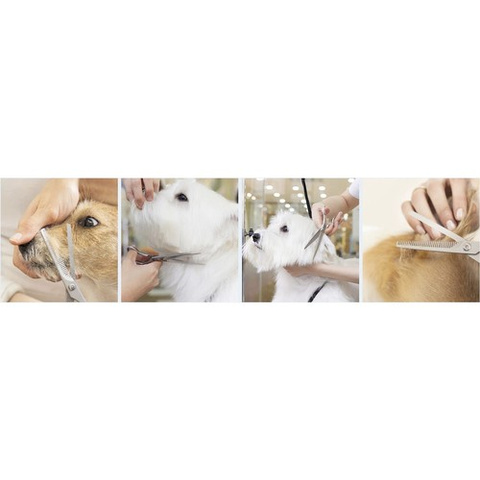 Purlov 23186 Hundehaarschneideschere