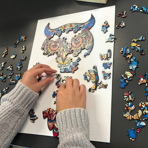 Dřevěné puzzle - Kruzzel puzzle 24551