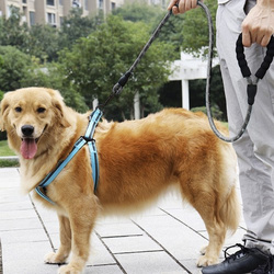 Reflective training leash 3m Purlov 21654
