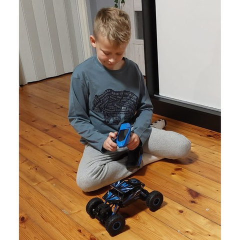 Remote controlled off-road vehicle - Truck 22439