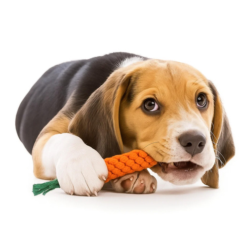 Jouet à mâcher pour chien, remorqueur - ensemble 25384