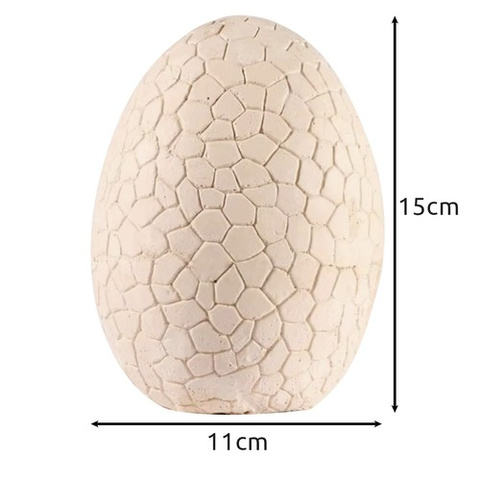 Dinosaur Egg - Excavation Site 24981