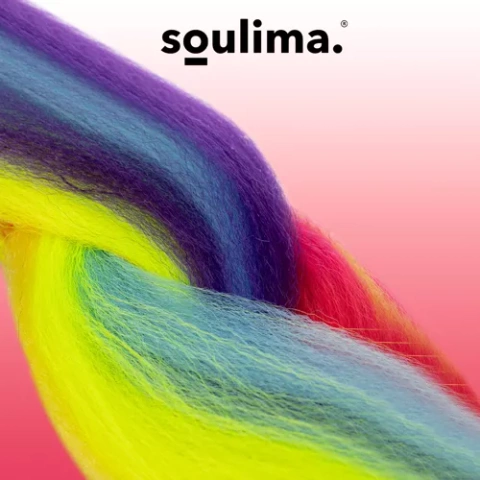 Synthetic hair rainbow braids Soulima 23571