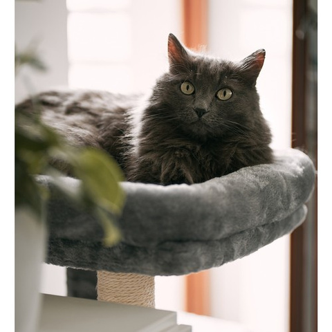 Cat tree 71cm gray Purlov 21711