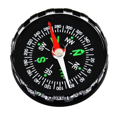 Pocket compass
