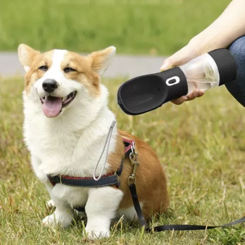 Bottle/bottle with bowl for dog Purlov 21033