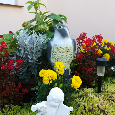 Vogelscheuche - Falke 23421