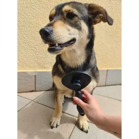 Self-cleaning fur brush