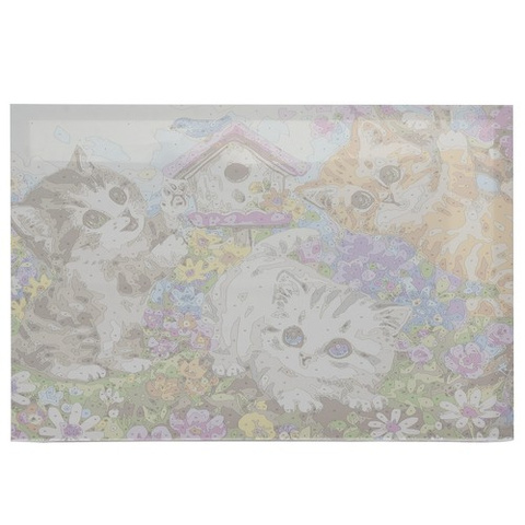 Malen nach Zahlen 40x50cm - Maaleo-Katzen 22781