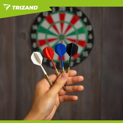 Darts set 12 pcs + tips Trizand 26100