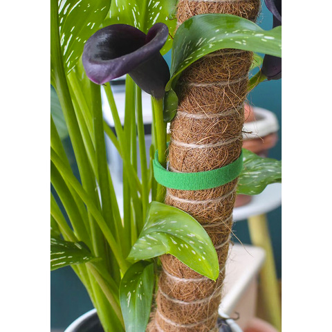 Klett-Gartenband 5m Gardlov 25362