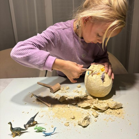 Dinosaurier-Ei – Ausgrabung 24981