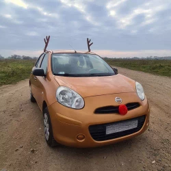 Reindeer antlers for car Xtrobb 20223