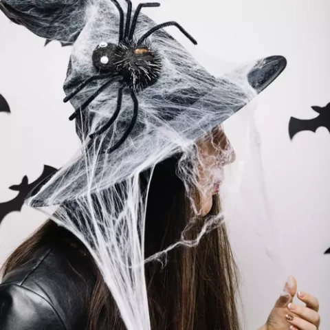 Künstliches Spinnennetz + 2 Spinnen Malatec 19759