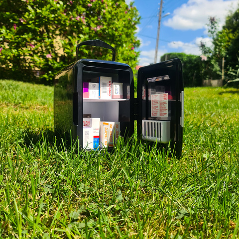 4L travel cooler - black