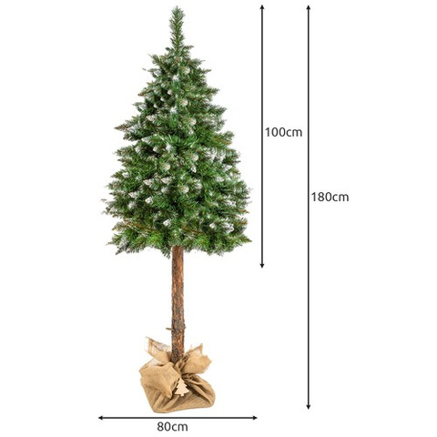 Sapin de Noël sur tronc - pin diamant, 180 cm