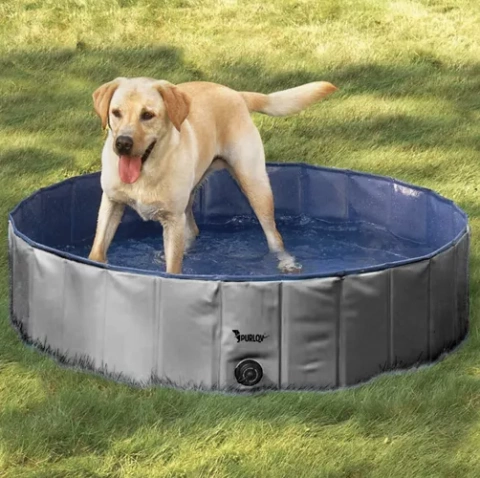 Piscine pliante/parc pour chien 160x30 Purlov 23832