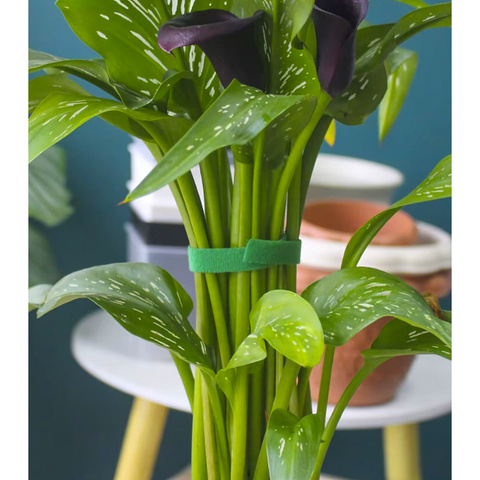 Klett-Gartenband 5m Gardlov 25362