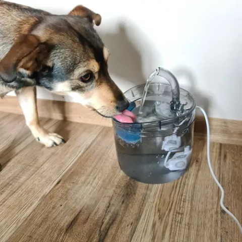 Filter for dog/cat waterer - 4 pcs. Purlov 23925