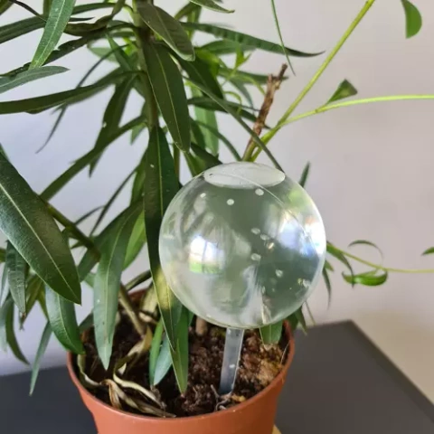 Bewässerungskugeln - 8 Stk. Gardlov 21043