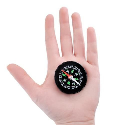 Pocket compass