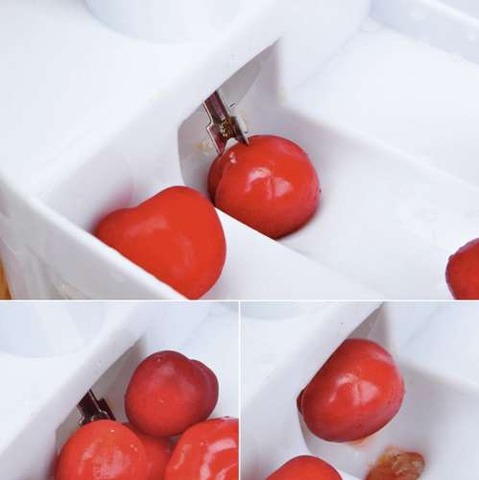 Ruhhy 20623 cherry pitter