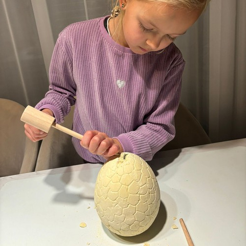 Dinosaur Egg - Excavation Site 24981