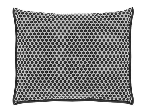 Dehumidifier - moisture absorber for car