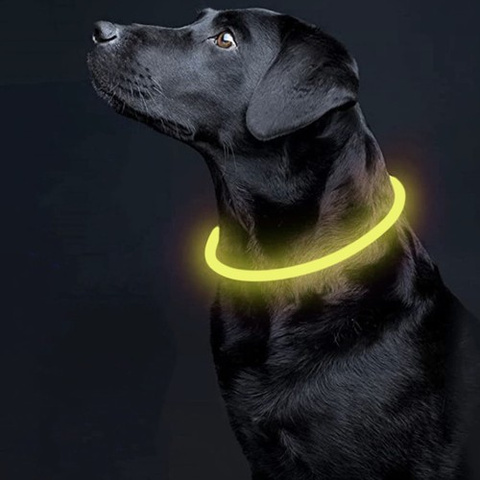 Collier réglable en lumière LED Purlov 24200