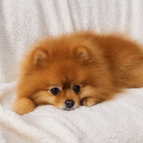 Couverture double face 150x200cm gris clair Ruhhy 26293