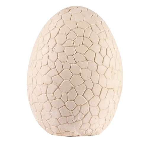 Dinosaur Egg - Excavation Site 24981