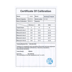 Drehmomentschlüssel 1/4 2-24Nm Bigstring 24591