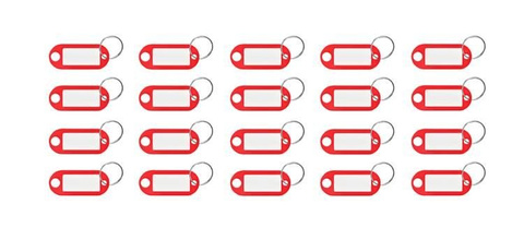 Schlüsselanhänger/Schlüssel-ID-Set 100-tlg