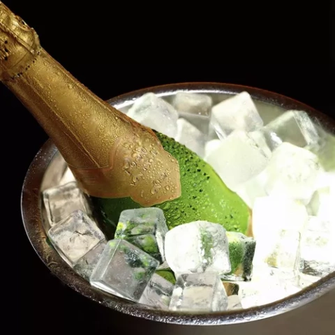 Ice Bucket - Tongs + Spoon Ruhhy 21159