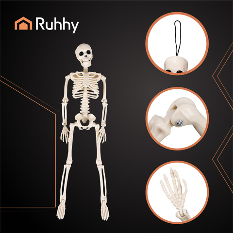 Skeleton - decoration 40cm Ruhhy 26027