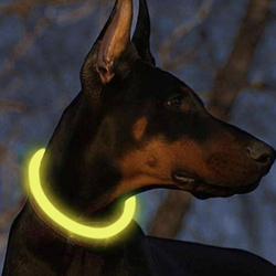LED-Licht verstellbares Halsband Purlov 24200
