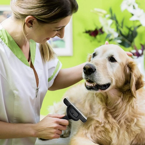 Purlov 24261 Tierhaarbürste