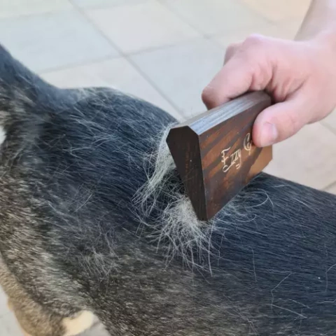 Ezzy Groom Grobhaarbürste