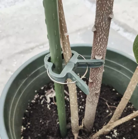 Clips - Pflanznadeln - 108 Stk. Gardlov 22586